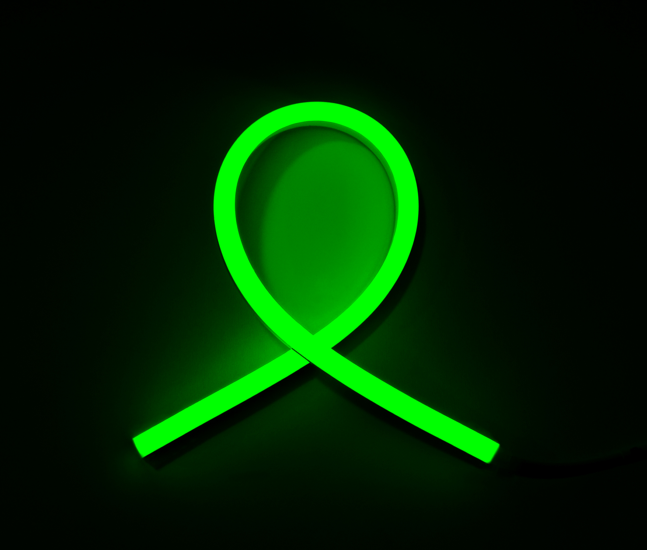 Acolyte NEONCONTOUR
