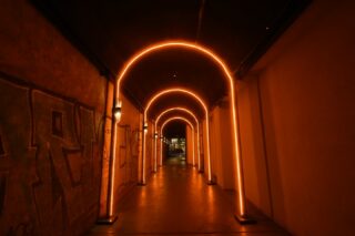 The Highlight Room – the bustling rooftop nightclub atop the Moxy LES in New York City – features a brilliant vaulted entrance and a glowing arched bar illuminated with the warm tones of Static White Series 2 RibbonLyte from Acolyte. Bespoke ceiling fixtures help customers find the elevators.

👀 Visit AcolyteLED.com to learn how you can create custom RibbonLyte fixtures.
🧢 Interested in joining our team? Head to GENLEDBrands.com/careers to see our global openings.

💡 Lighting design by Focus Lighting
📷 Photos by David Handschuh

#Acolyte #GENLEDBrands #LEDs #LEDoptics #LEDlighting #customLEDs #customlighting #customLEDlighting #lightingdesign #lightingdesigners #architects #architectural #ArchitecturalLighting